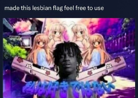made this lesbian flag feel free to use