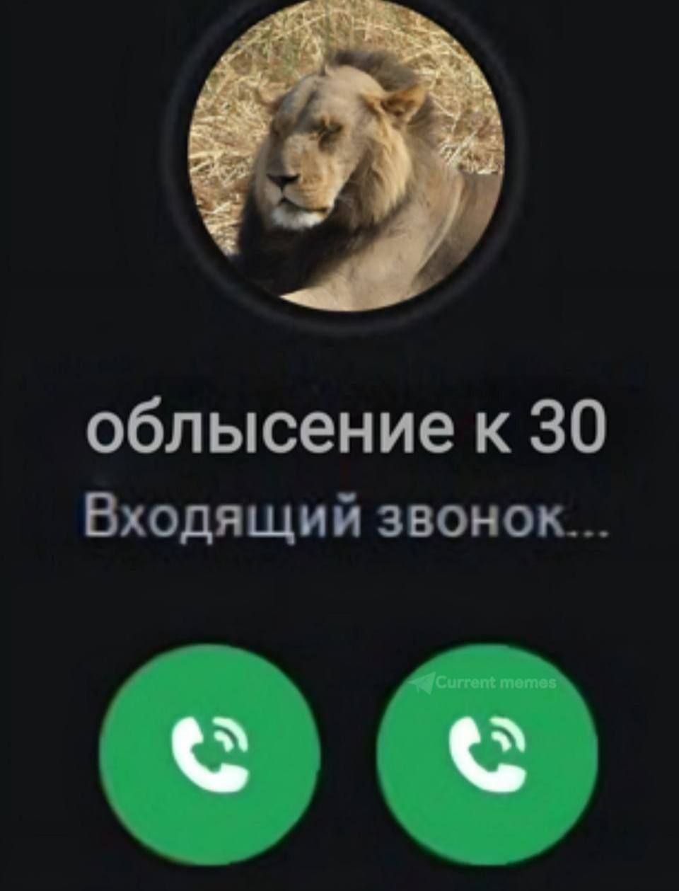 облысение к 30 Входящий звонок...