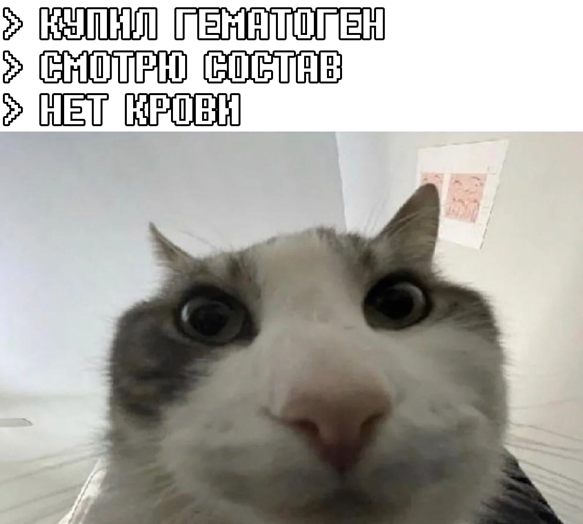 Tah Шет