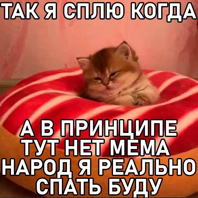 ТАК Я СПЛЮ КОГДА А В ПРИНЦИПЕ ТУТ НЕТ МЕМА НАРОД Я РЕАЛЬНО СПАТЬ БУДУ