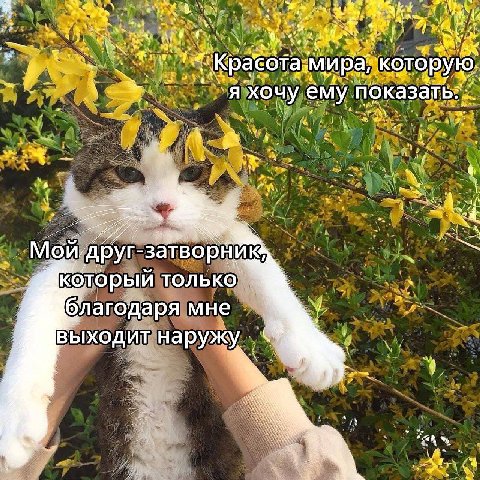 я