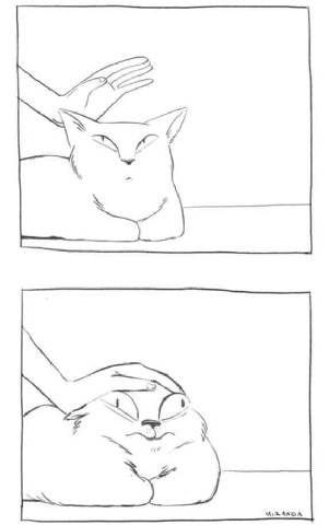 а Й < \ = aves Wa anon