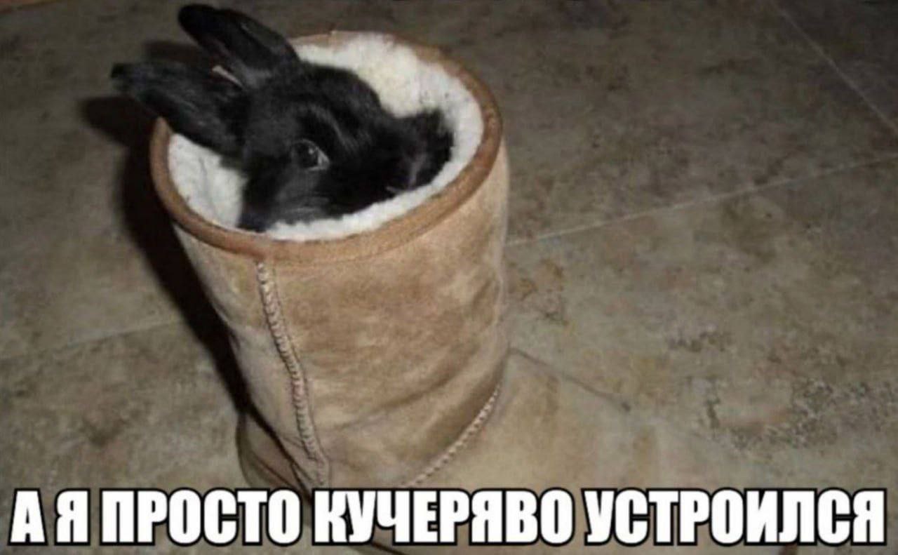 ПРОСТО КУЧЕРЯВО УСТРОИЛСЯ