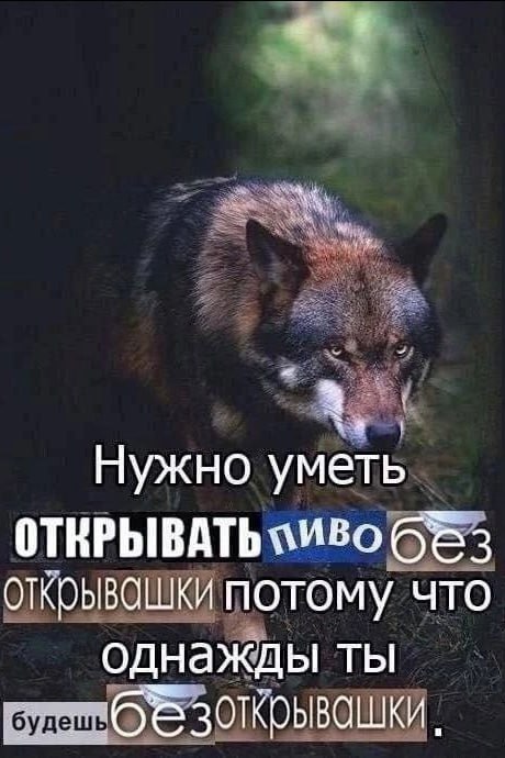Нужно уметь ОТКРЫВАТЬ 683 открывашки потому что однажды ты