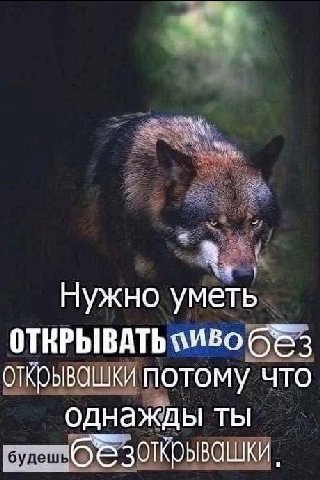 Нужно уметь ОТКРЫВАТЬ 683 открывашки потому что однажды ты