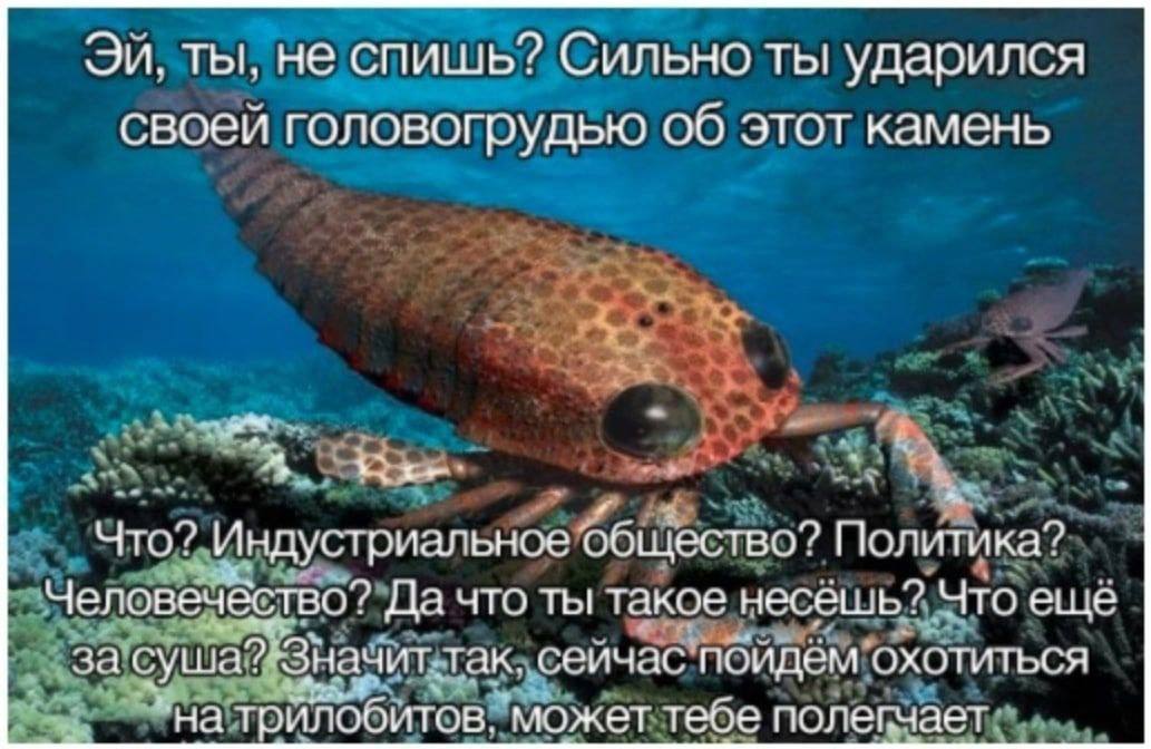 ты, не спишь? Сильно ты ударился своей головогрудью об этот камень a Что? Индустриальное общество? Политика? Человечёство? Да что ты такое несешь? Что еще за суш ‚так. сейчас пойдём охотиться может те