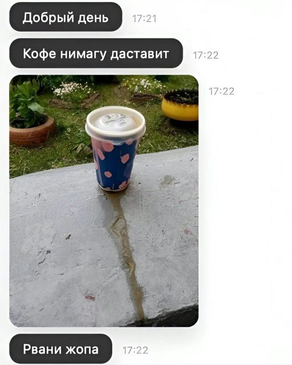 Добрый день 7:21 Кофе нимагу даставит 7:22 Рвани жопа 7:22