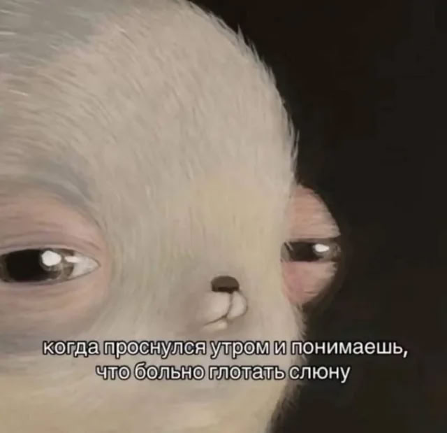когда проснулся утром и понимаешь, что больно глотать слюну