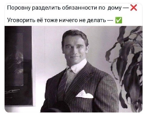 Поровну разделить обязанности по дому Ж Уговорить её тоже ничего не делать a А