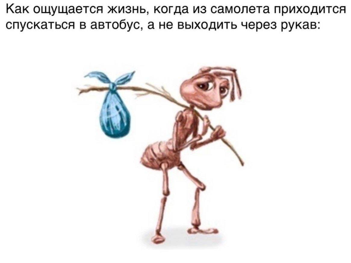 Как ощущается жизнь, когда из самолета приходится спускаться в автобус, а не выходить через рукав: