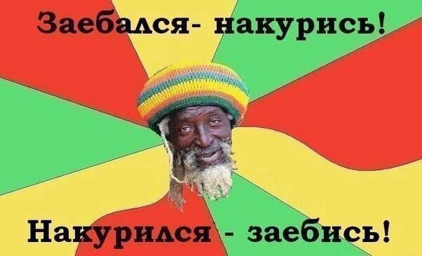 На заебись