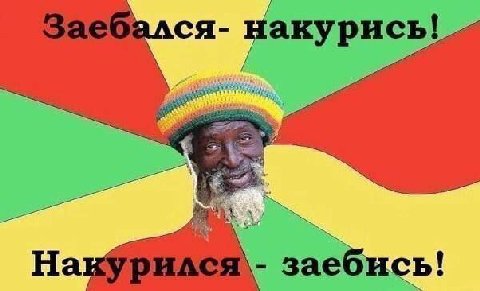 На заебись