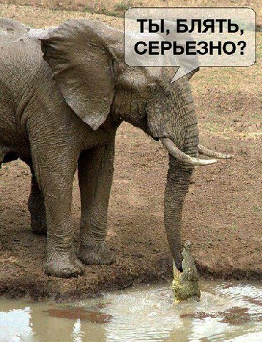 ТЫ, БЛЯТЬ 5 5 СЕРЬЕЗНО? grid у 2 у 3 4: