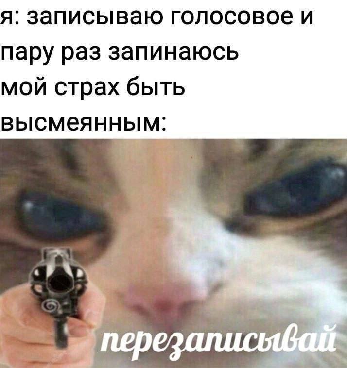 я: записываю голосовое и пару раз запинаюсь мой страх быть высмеянным: у pez