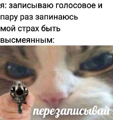 я: записываю голосовое и пару раз запинаюсь мой страх быть высмеянным: у pez