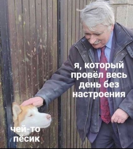 я, который провел весь день без настроения TO песик