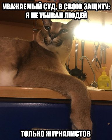 УВАЖАЕМЫЙ СУД, В СВОЮ ЗАЩИТУ: Я НЕУБИВАЛ ЛЮДЕЙ ТОЛЬКО ЖУРНАЛИСТОВ