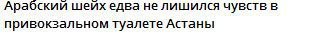 Арабскии шеих едва не лишился чувств в привокзальном туалете Астаны