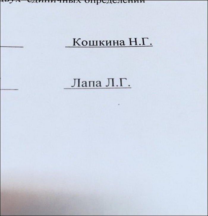 Кошкина Лапа