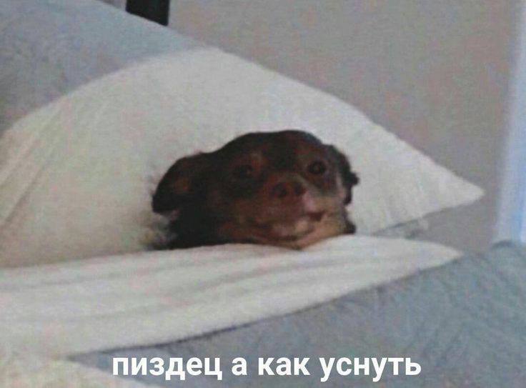 пиздец а как уснуть
