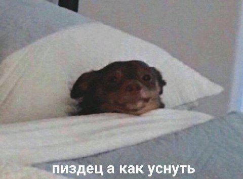 пиздец а как уснуть