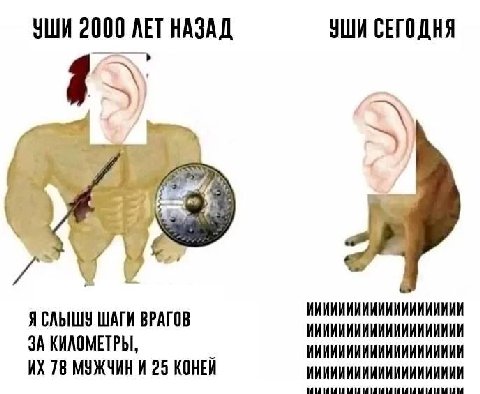 УШИ 2000 ЛЕТ НАЗАД УШИ СЕГОДНЯ A ИИИИИИИИИИИИИИИИИИИИ ШАГИ ВРАГОВ ИИИИИИИИИИИИИИИИИИИИ ЗА КИЛОМЕТРЫ, ИИИИИИИИИИИИИИИИИИИИ 78 МУЖЧИН И 25 КОНЕЙ ИИИИИИИИИИИИИИИИИИИИ