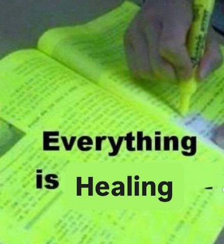 Everything IS Healing