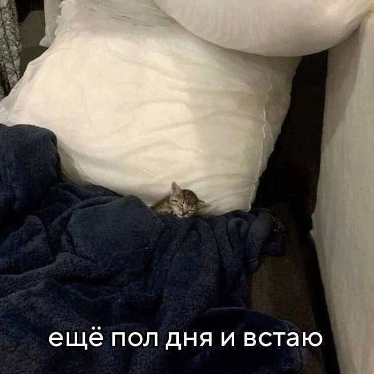 еще пол дня и встаю