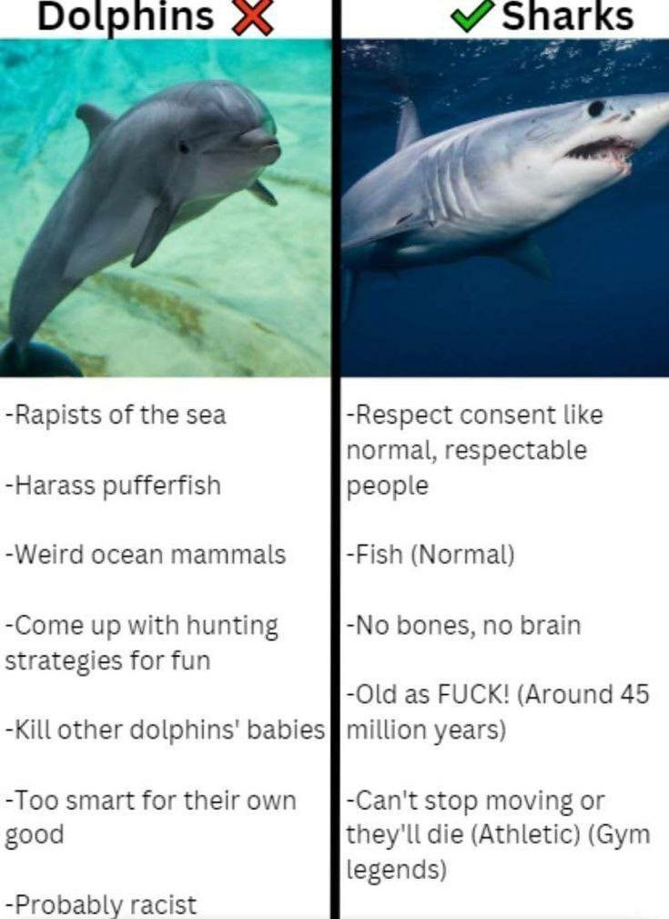 Борит$ Snarks -Rapists of the sea -Respect consent like normal, respectable -Harass pufferfish people -Weird ocean mammals -Fish (Normal) -Come up with hunting -No bones, no brain strategies for fun -