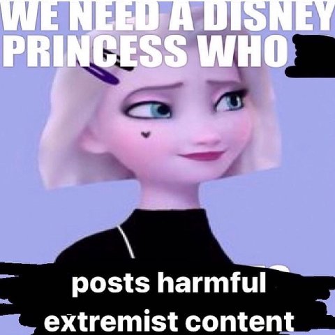 posts harmful extremist conten