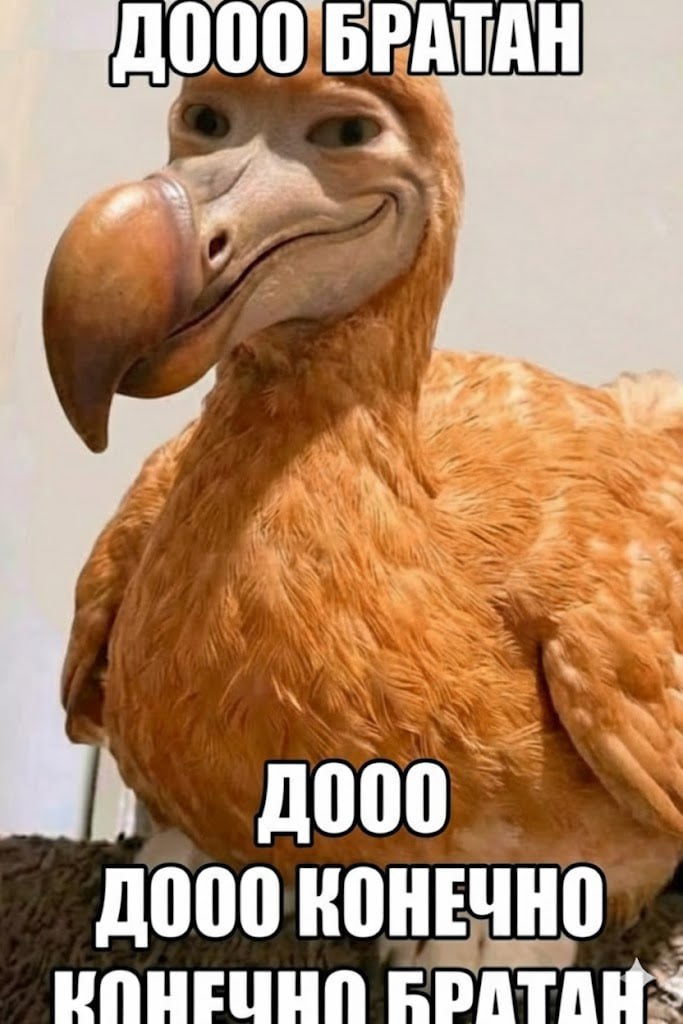 7 1