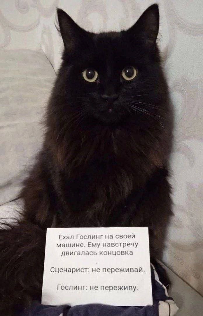 у.^ Ехал Гослинг на своей машине. Ему навстречу двигалась концовка Сценарист: не переживай Гослинг: не переживу.