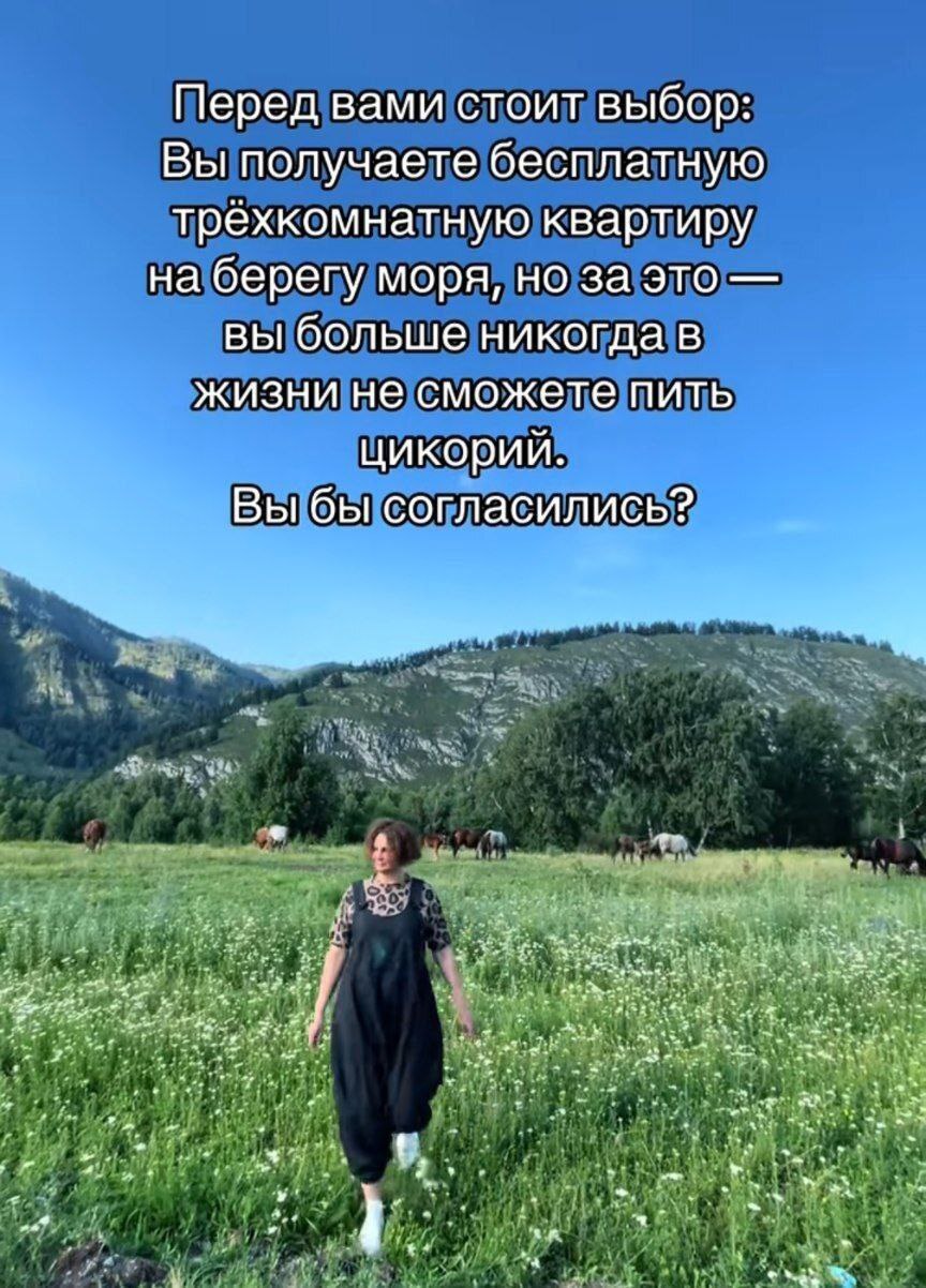 Перед вами стоит выбор: Вы получаете бесплатную трехкомнатную квартиру на берегу моря, но за это вы больше никогда в жизни не сможете пить цикорий. Вы бы согласились? 4