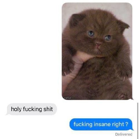 holy fucking shit fucking insane right Delivered