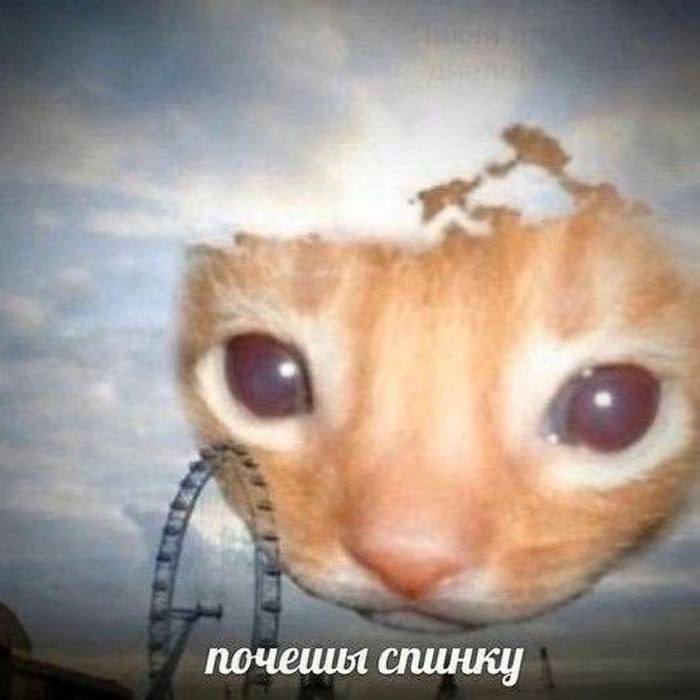 😞

thx.. next