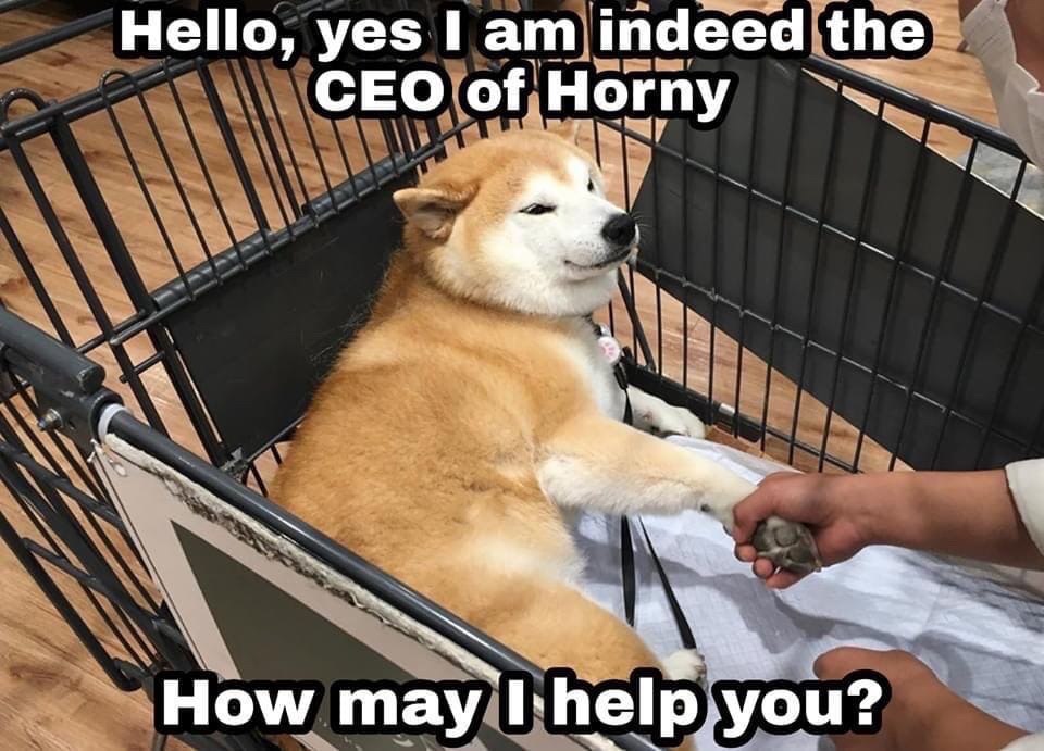 Hello, yes Гат indeed the CEO of Horny How may you?