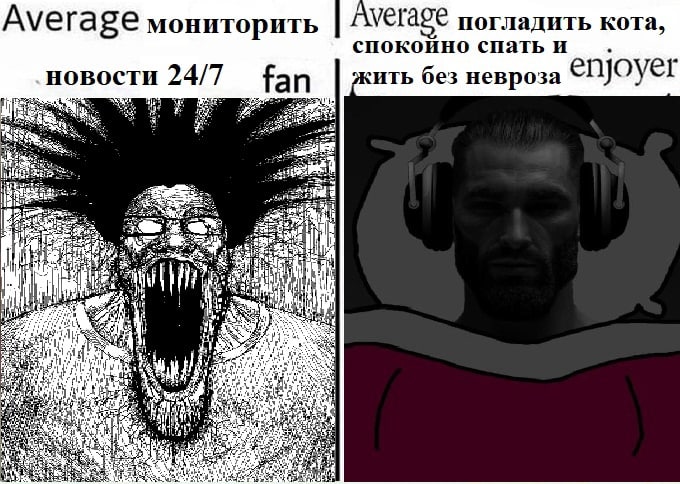 Ауега мониторить погладить кота, спокойно спатьи новости 24/7 fan жить без невроза enjoyel +4