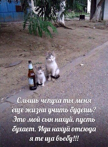 4 еше учить Это мой сын нахуй, пусть бухает. Иди нахуй отсюда я Goedy!!!
