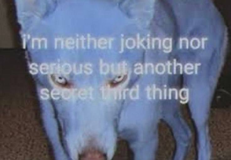 joking nor another
