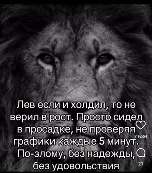 Лев если и холдил, то не верил в рост. Просто сидел в просадке, не проверяя графики каждые 5 минут. По-злому, без надежды, 21 без удовольствия