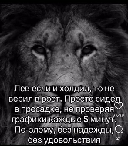 Лев если и холдил, то не верил в рост. Просто сидел в просадке, не проверяя графики каждые 5 минут. По-злому, без надежды, 21 без удовольствия