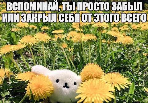 ТЫ ПРОСТО ЗАБЫЛ ИЛИ. СЕБЯ. этого. a А a) А Me ood С as