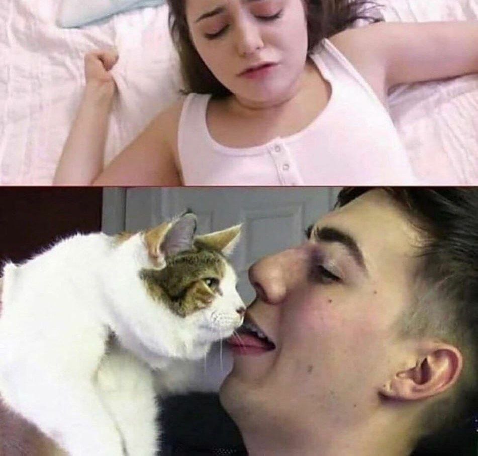 вы ¢* г
