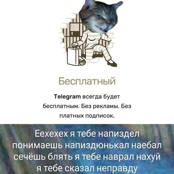 Бесплатный Telegram всегда будет бесплатным. Без рекламы. Без платных подписок. Еехехех я тебе напиздел понимаешь напиздюнькал наебал сечёшь блять я тебе наврал нахуй я тебе сказал неправду
