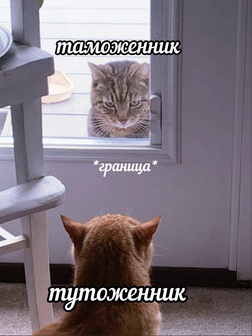 таможенник. граница тутоженник