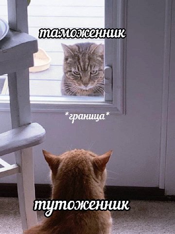 таможенник. граница тутоженник