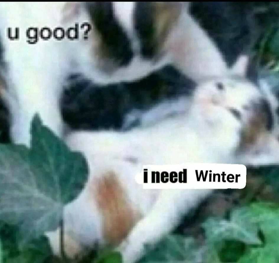 и good ineed Winter