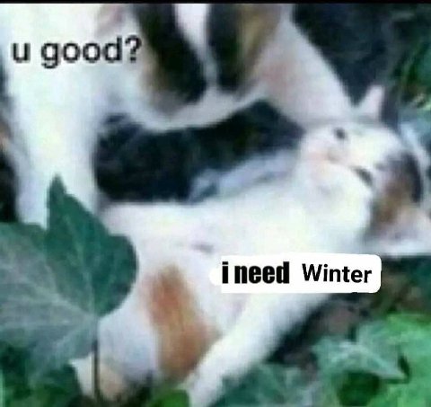 и good ineed Winter