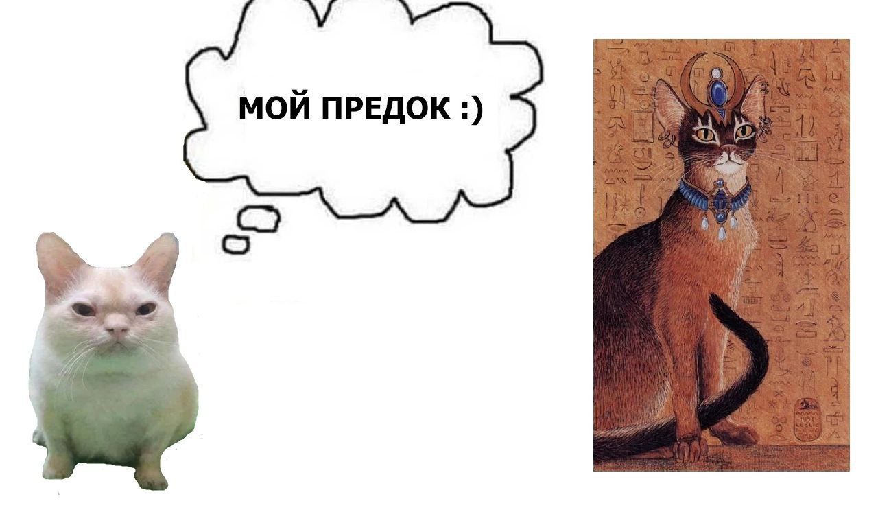 МОЙ ПРЕДОК