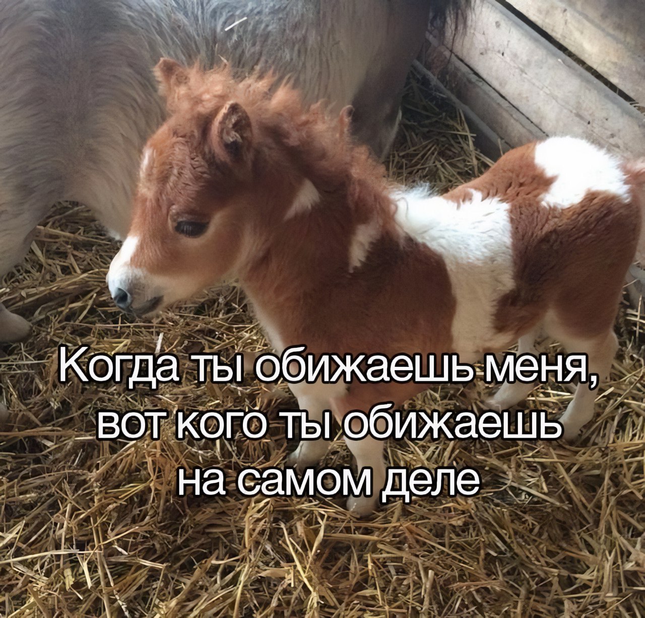 Когда ТЫ обижаешь меня, ВОТ Кого ты обижаешь самом деле